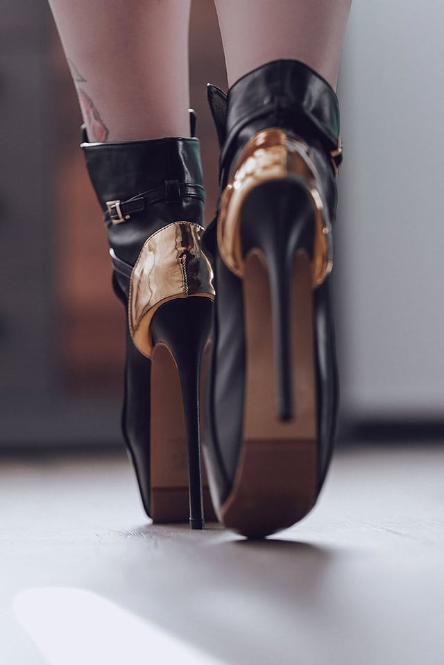 die mit den hunden leaks